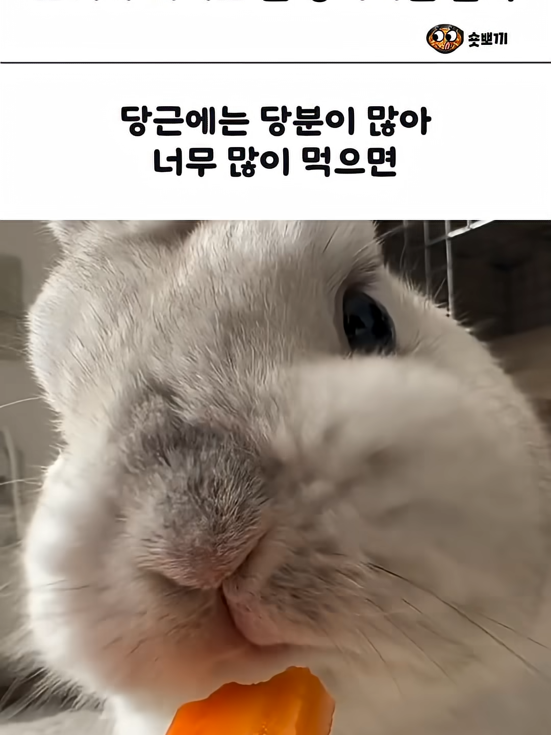 @김땡컨