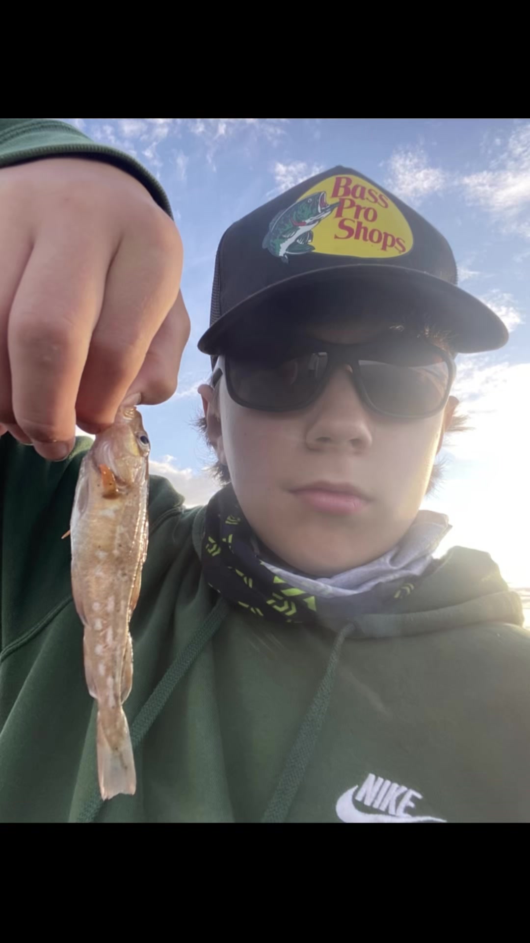 @alfie_fishes_