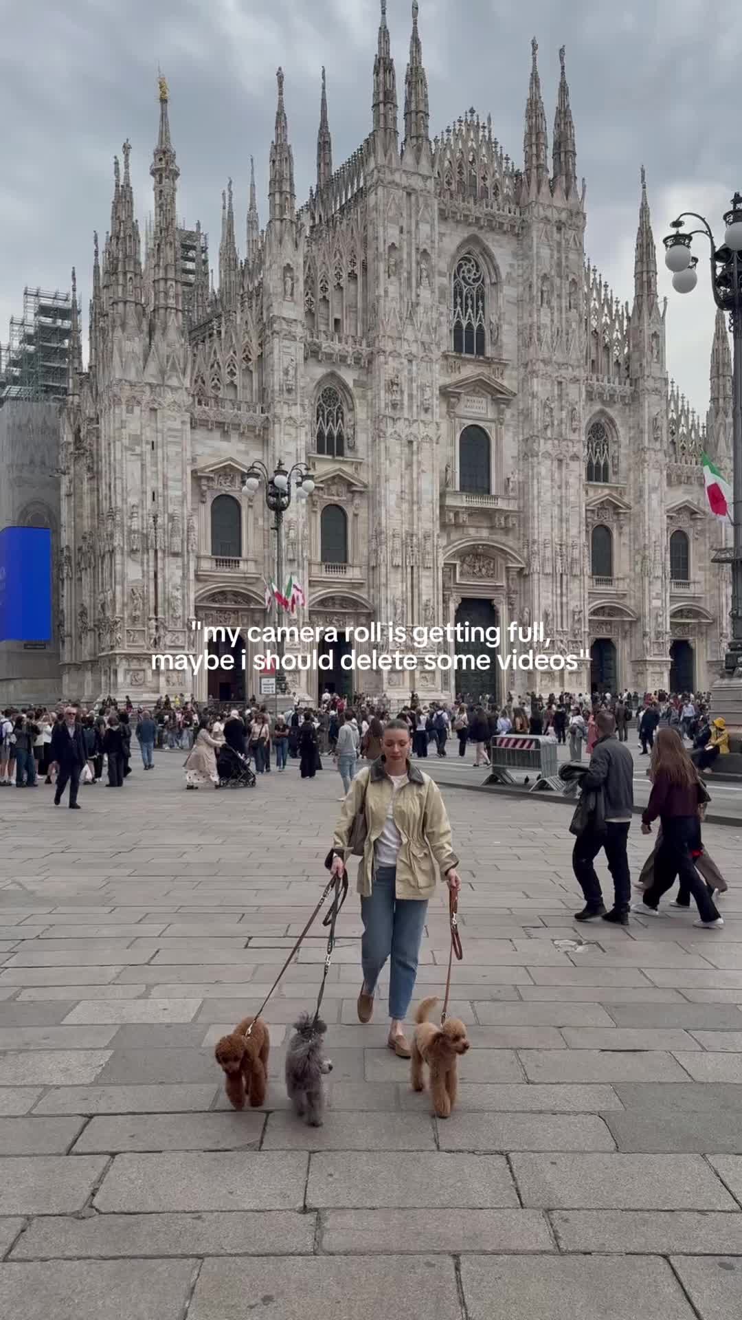 @Two & A Half Poodles | Dog Mom