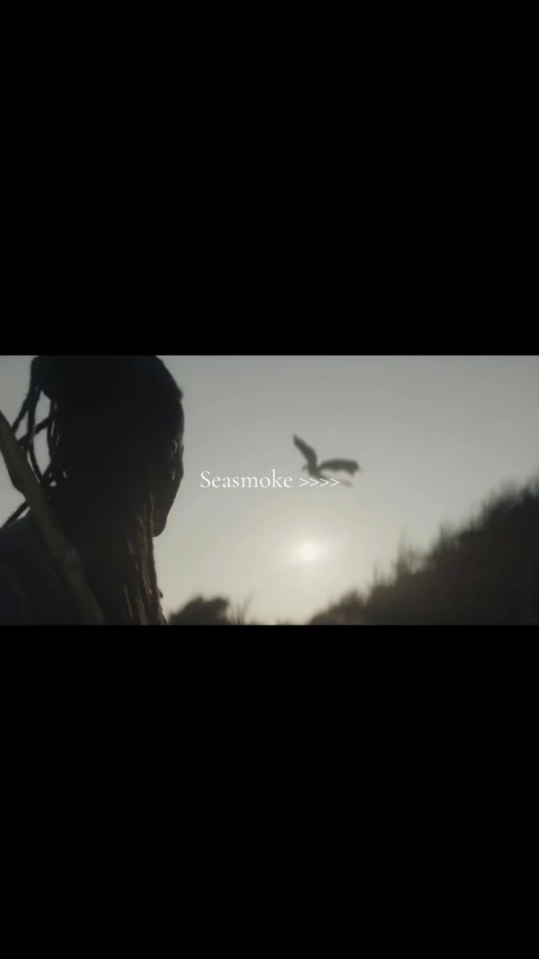 @🦕