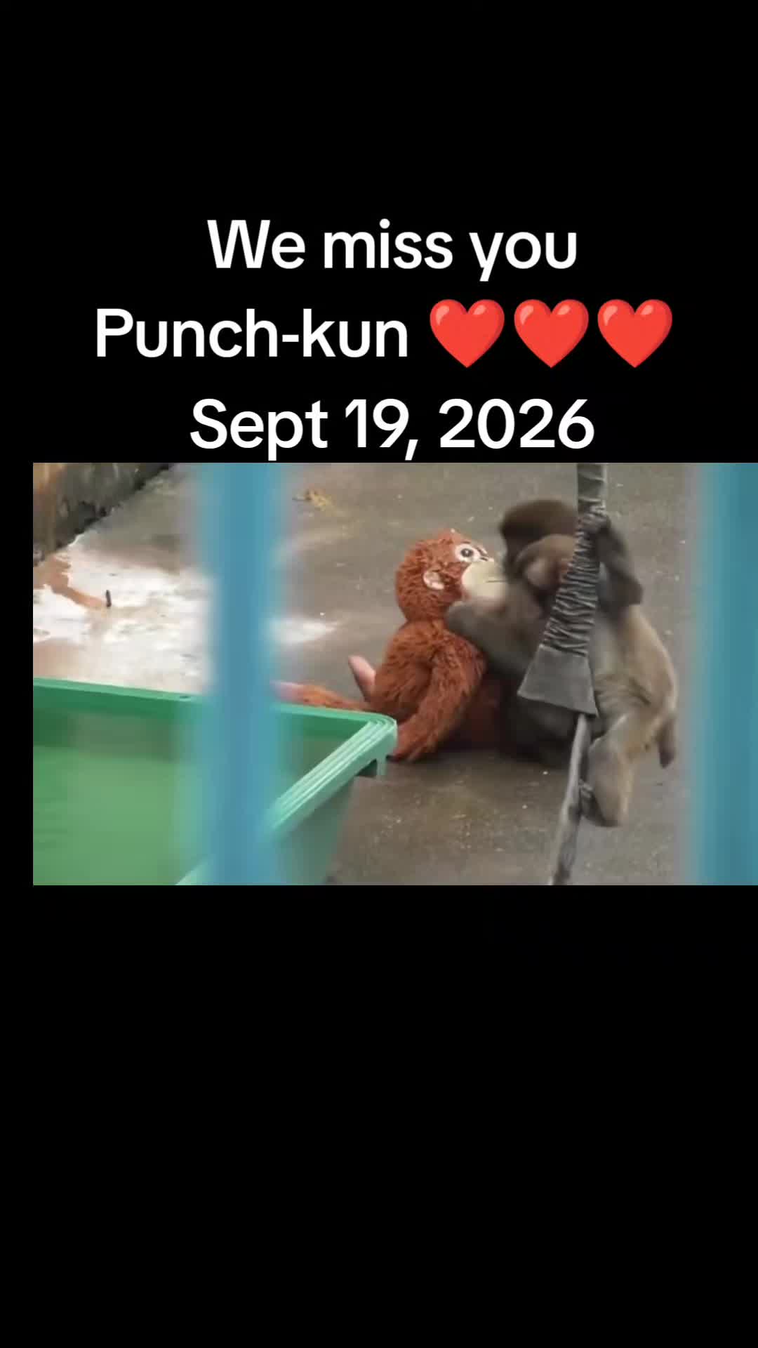 @zikstin16