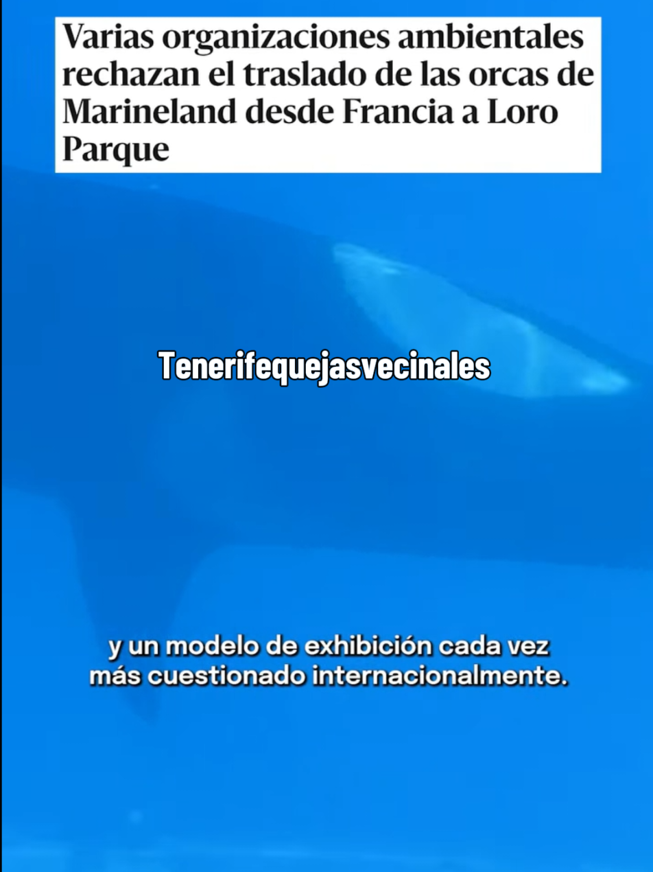 @Tenerifequejasvecinales
