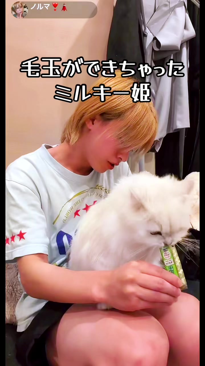 @kagi🗝️neco🐱②