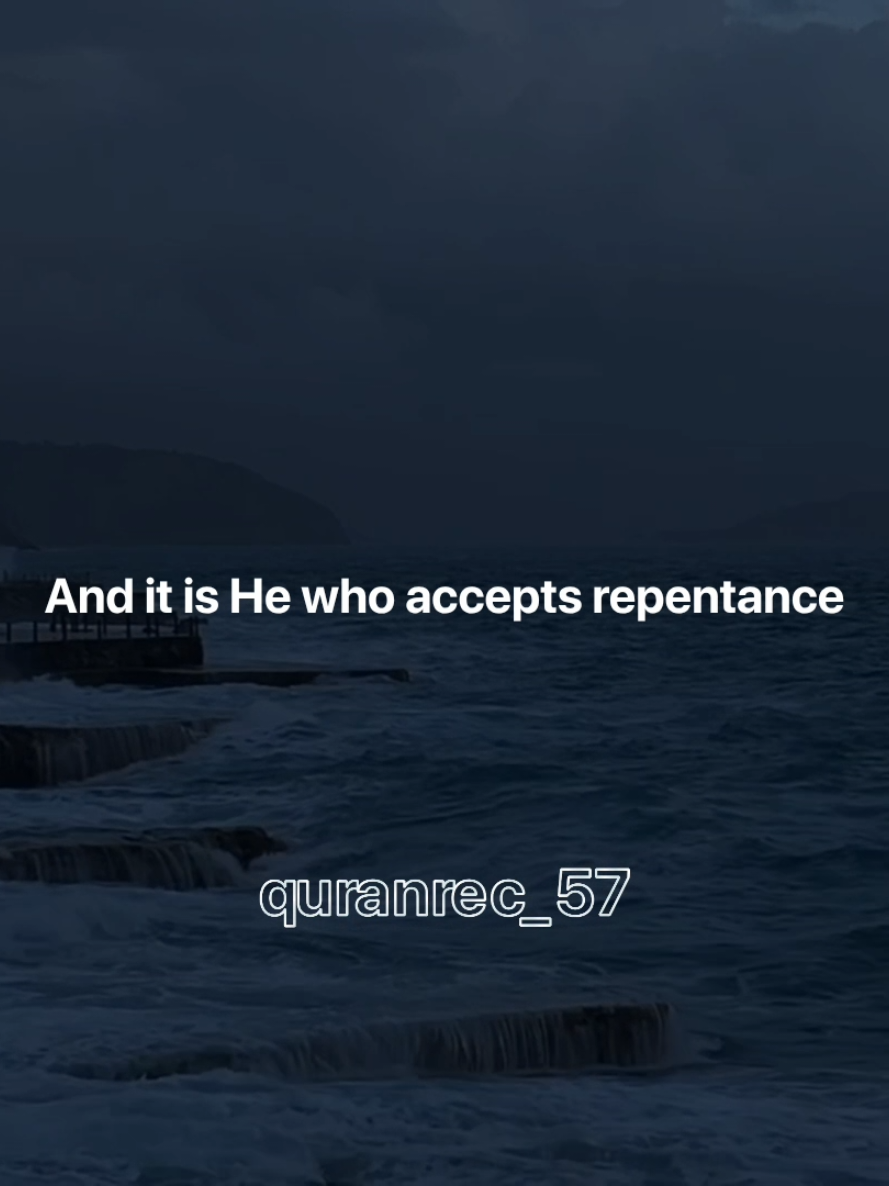 @quranrecitations_57𓂆🇵🇸