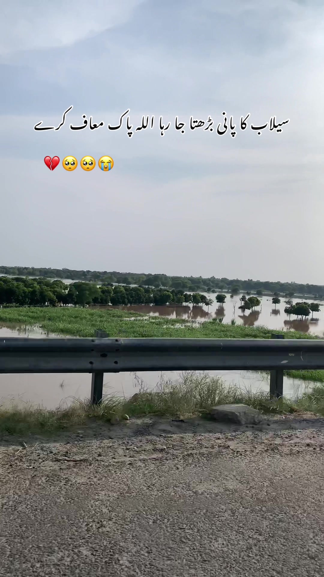 @پنجاب زادہ🌿