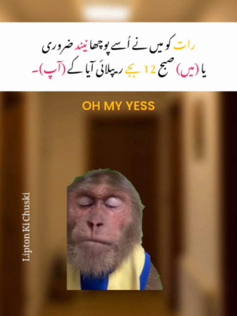@𝙇𝙞𝙥𝙩𝙤𝙣 𝙠𝙞 𝘾𝙝𝙪𝙨𝙠𝙞