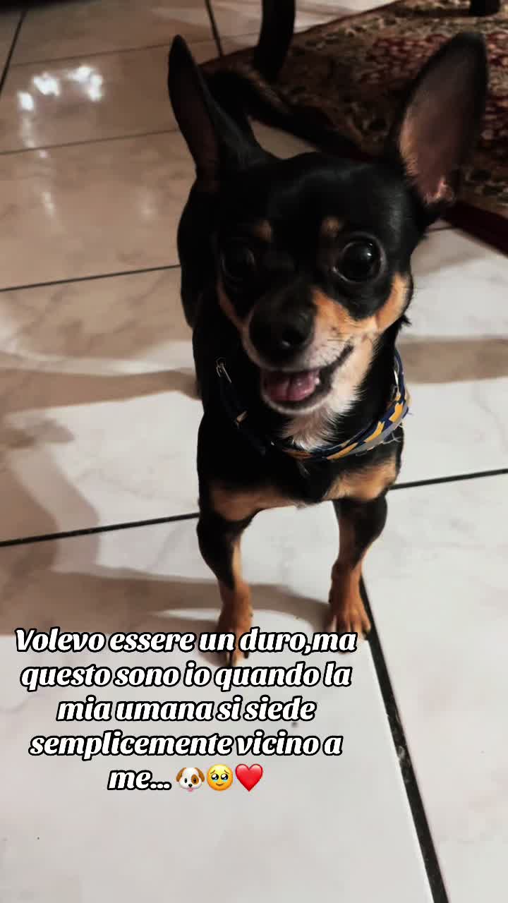 @Noemi Salamone