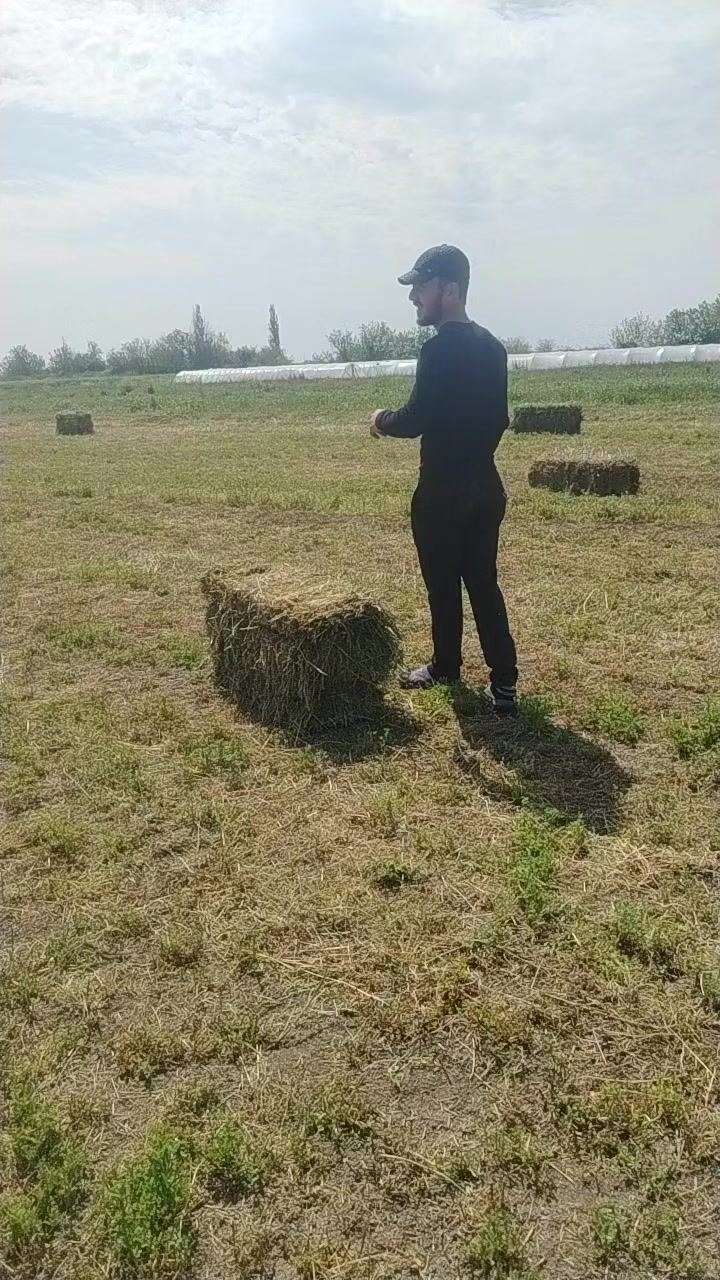 @MEHTİYEV ELMƏDDİN 🇦🇿