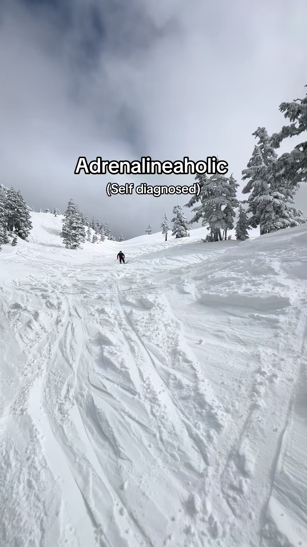 @seth_in_the_mountains