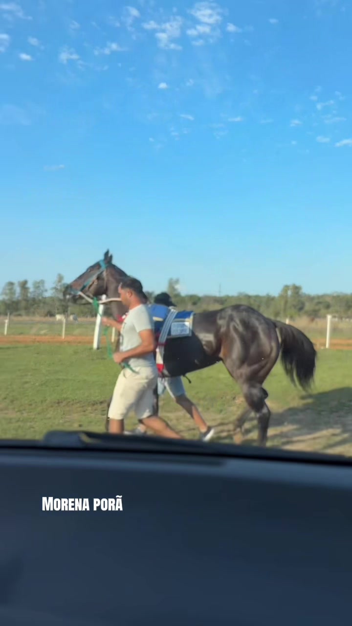 @hip&oacute;dromo Yataity Guair&aacute;.