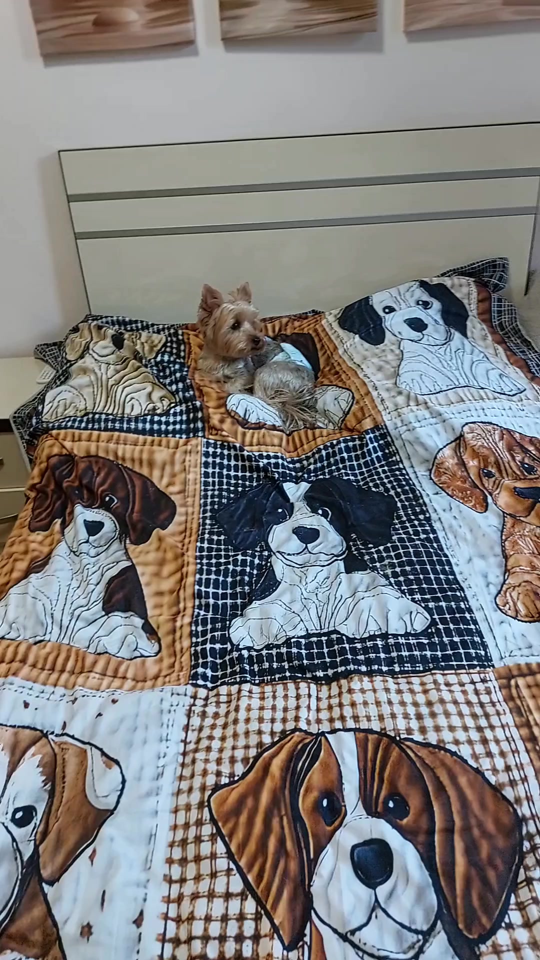 @Анна Азизян