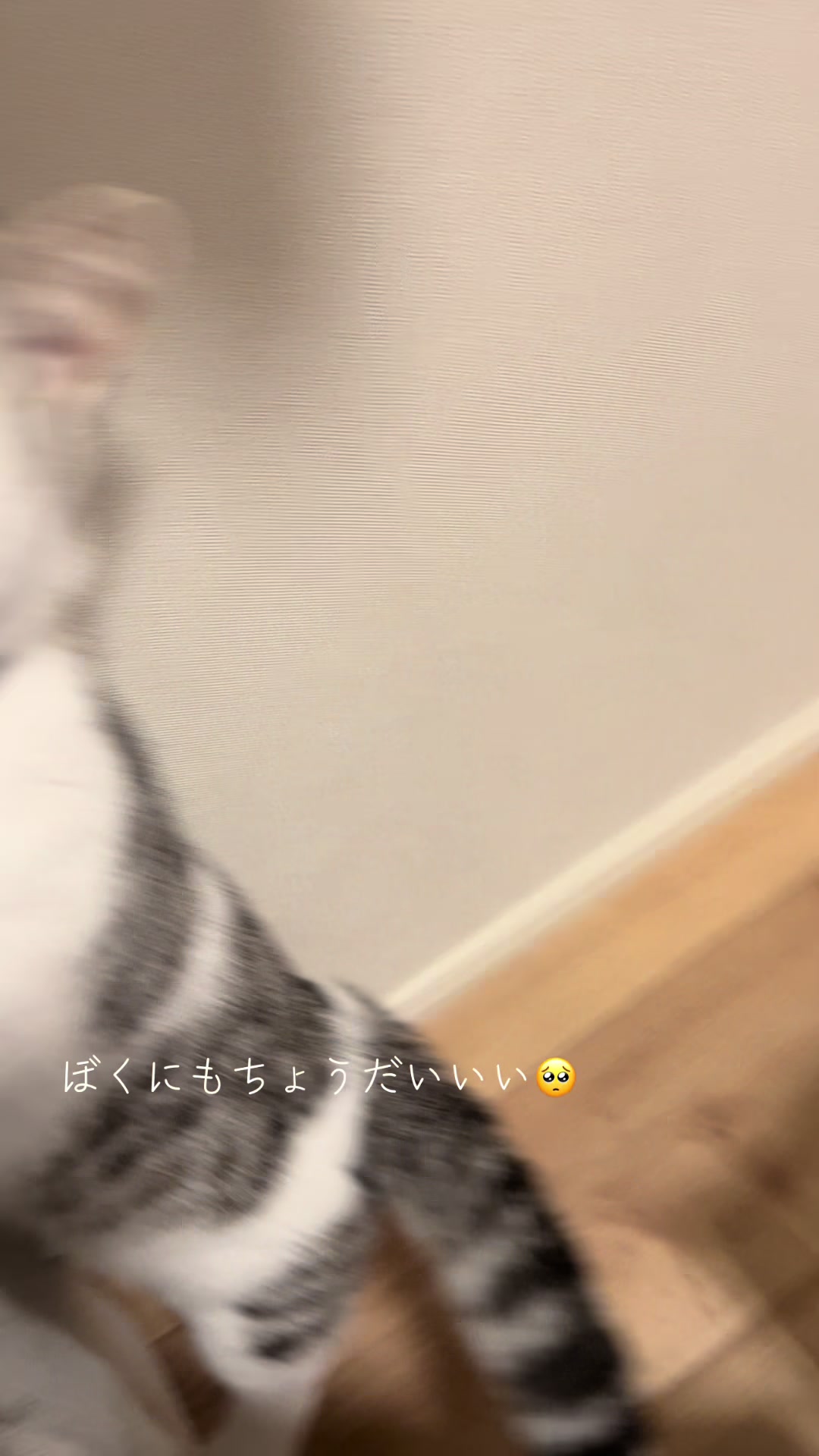 @短足マンチのえる♂