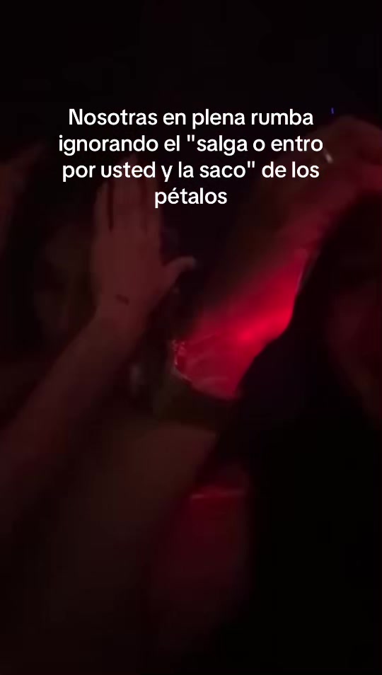 @Danii