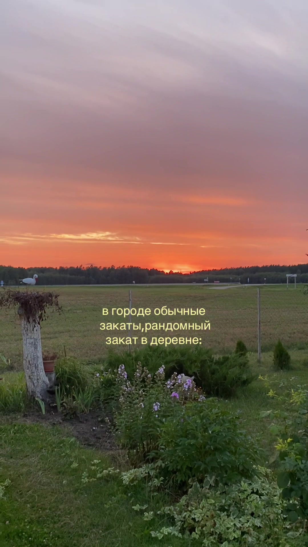@ангелок🫶🏻