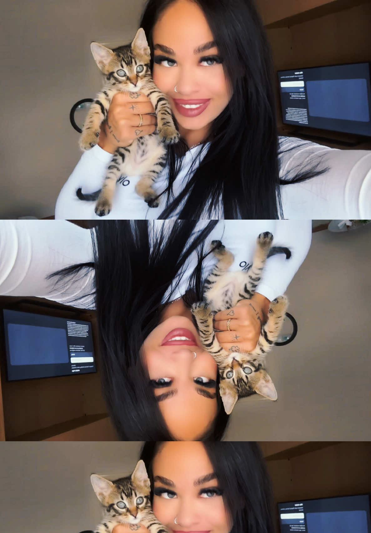 @🐱Kassai Vivien🐱