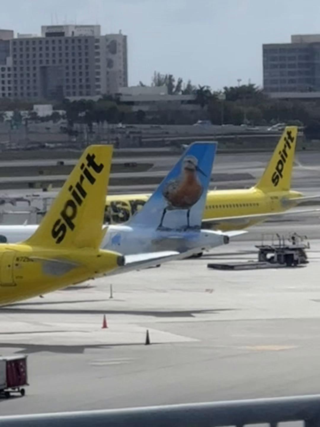 @YasAviation