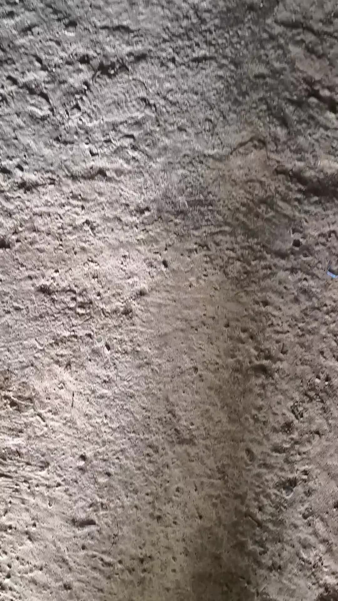@sanguinosport21
