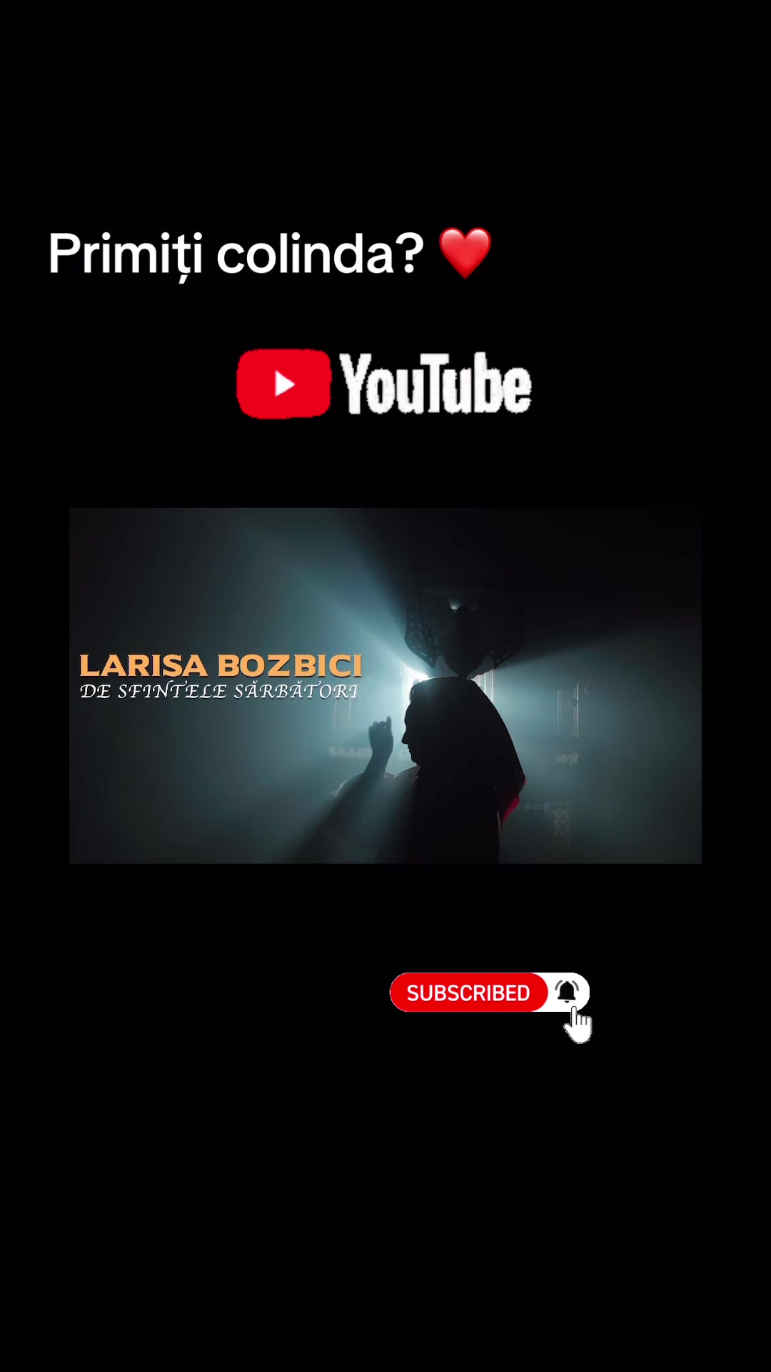 @Larisa Bozbici