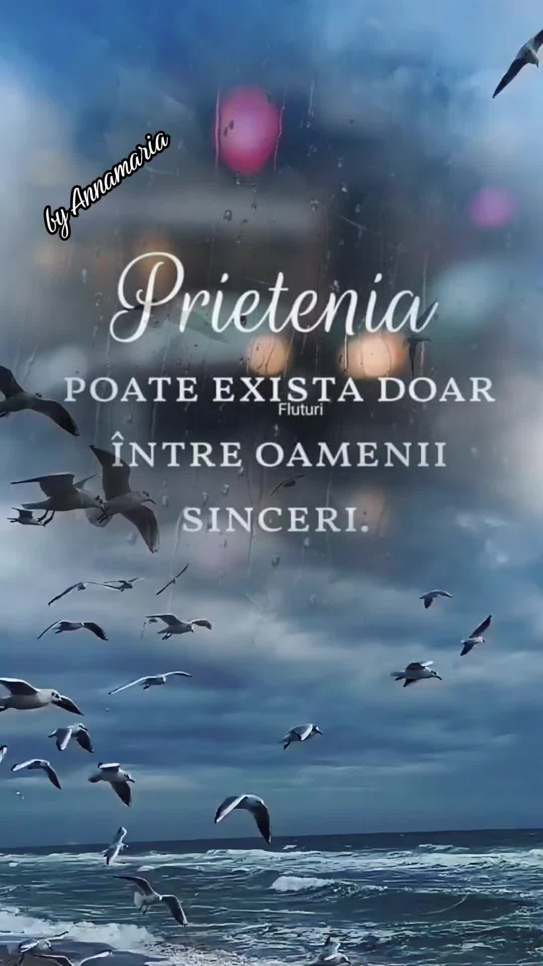 @✨️<ANNA>🌟M