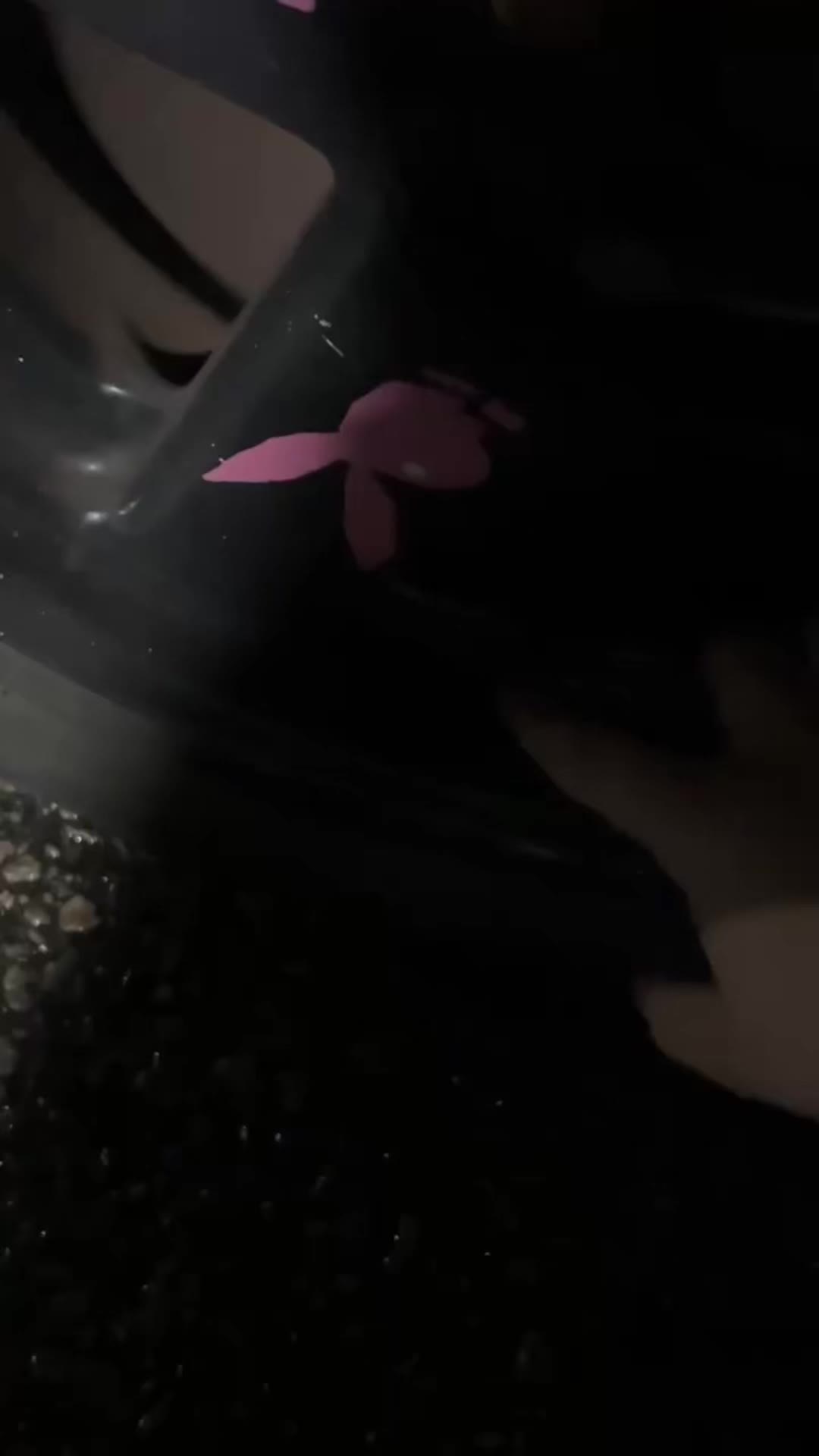 @๐๐ผ๐ข๐๐ถ๐๐ทโฏ๐โ๐๐ผ