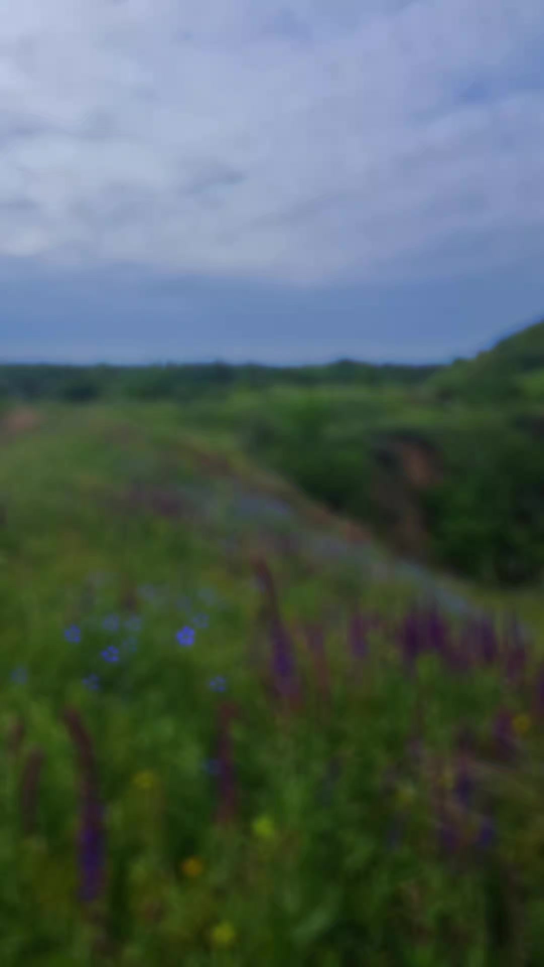 @Еленка