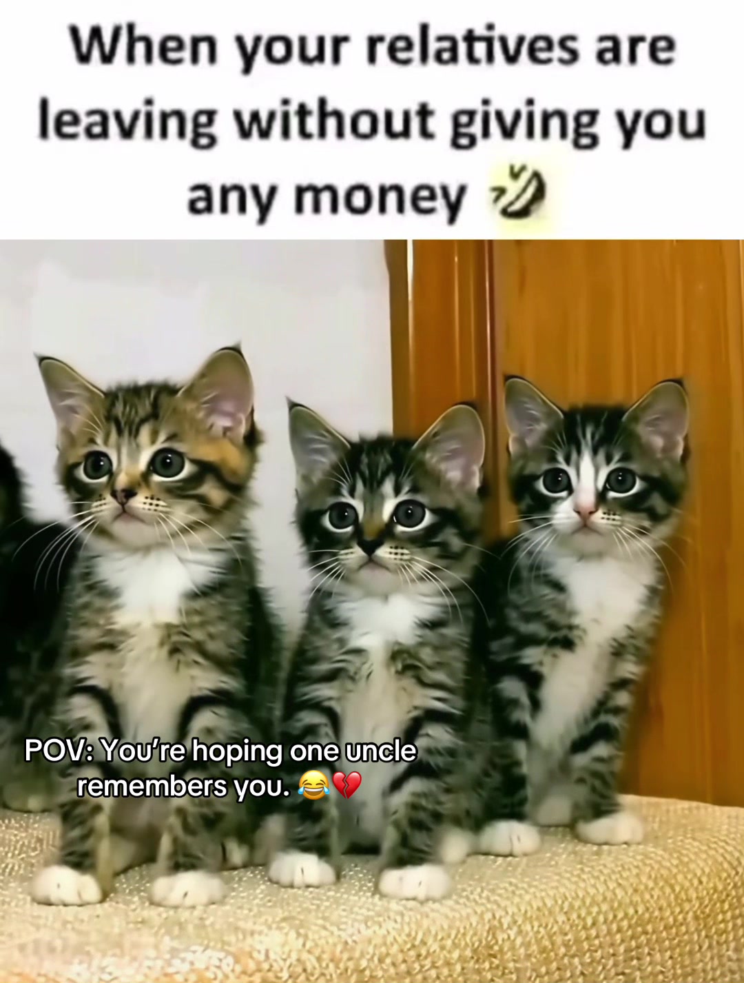 @Gentul Clips | Relatable Memes