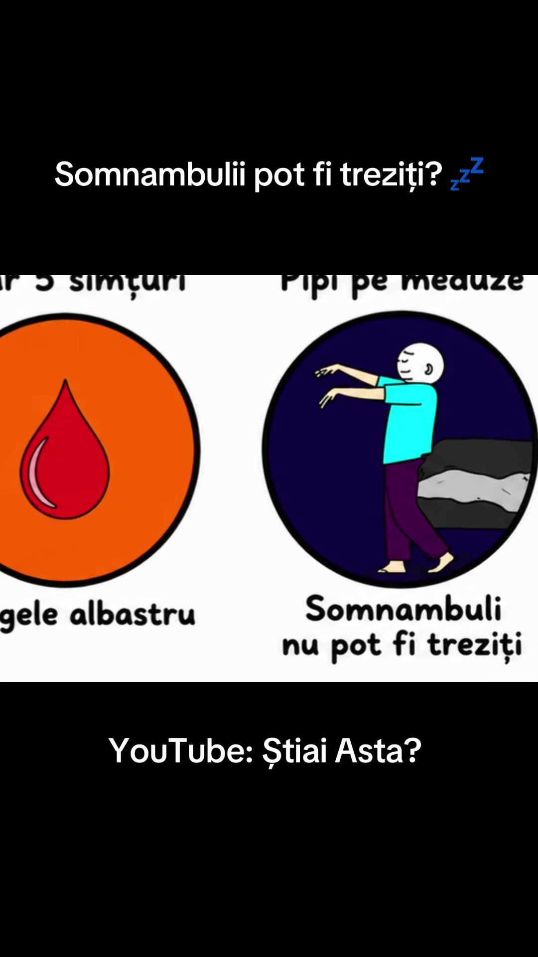 @Stiai Asta?