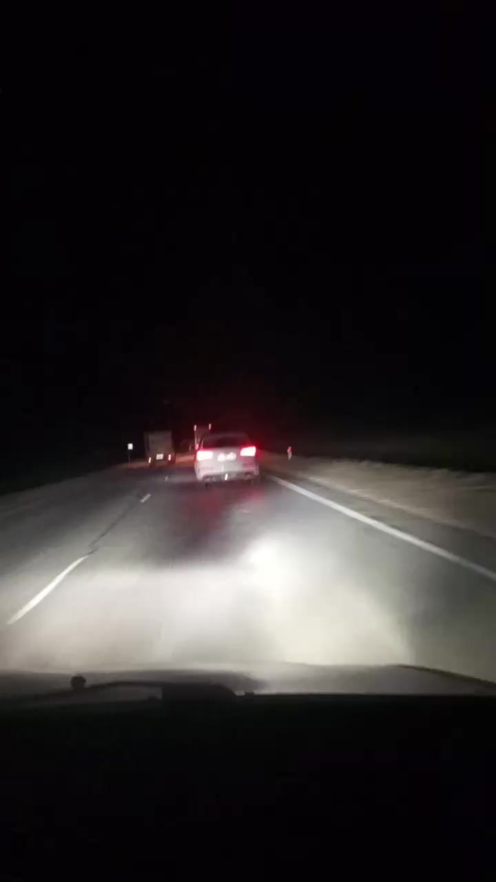 @сибиряк 38🇷🇺