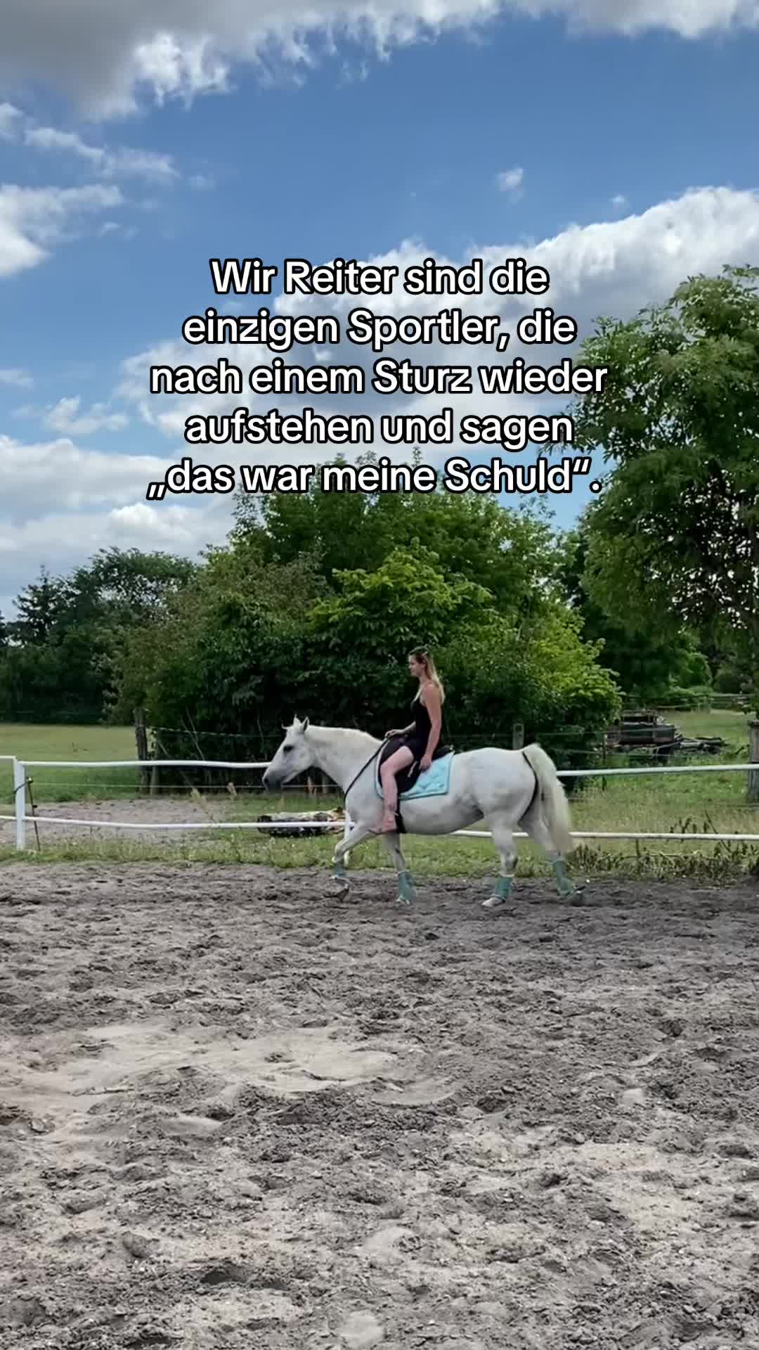 @show.jumper_speedy