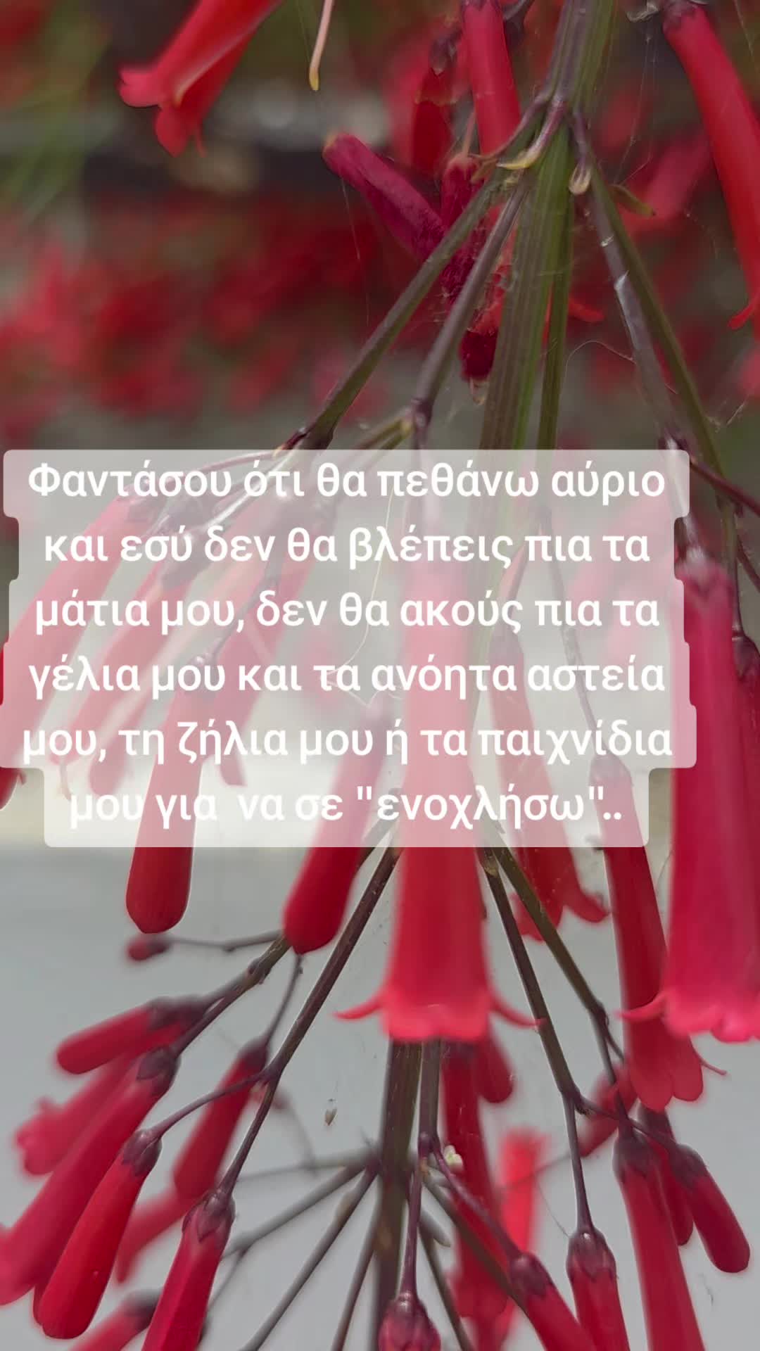 @Andriano💫