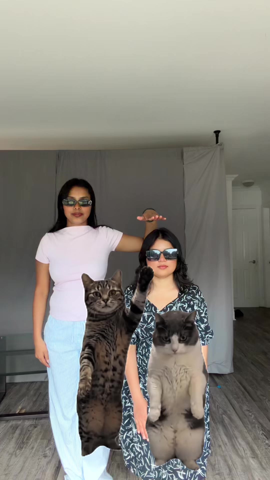 @Anjita