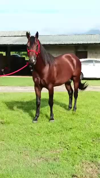 @JOSÉ DAVID