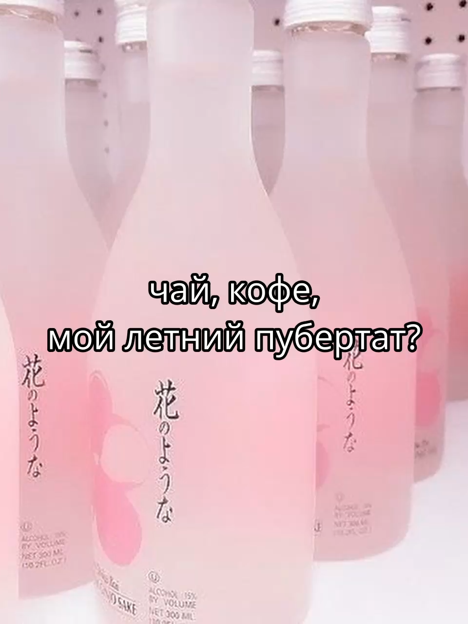 @plplpl