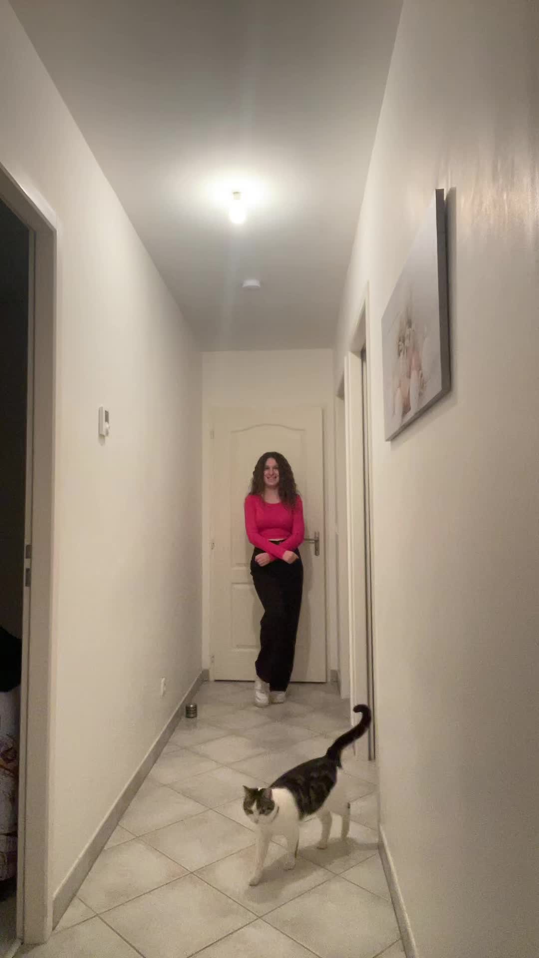 @alizearoy
