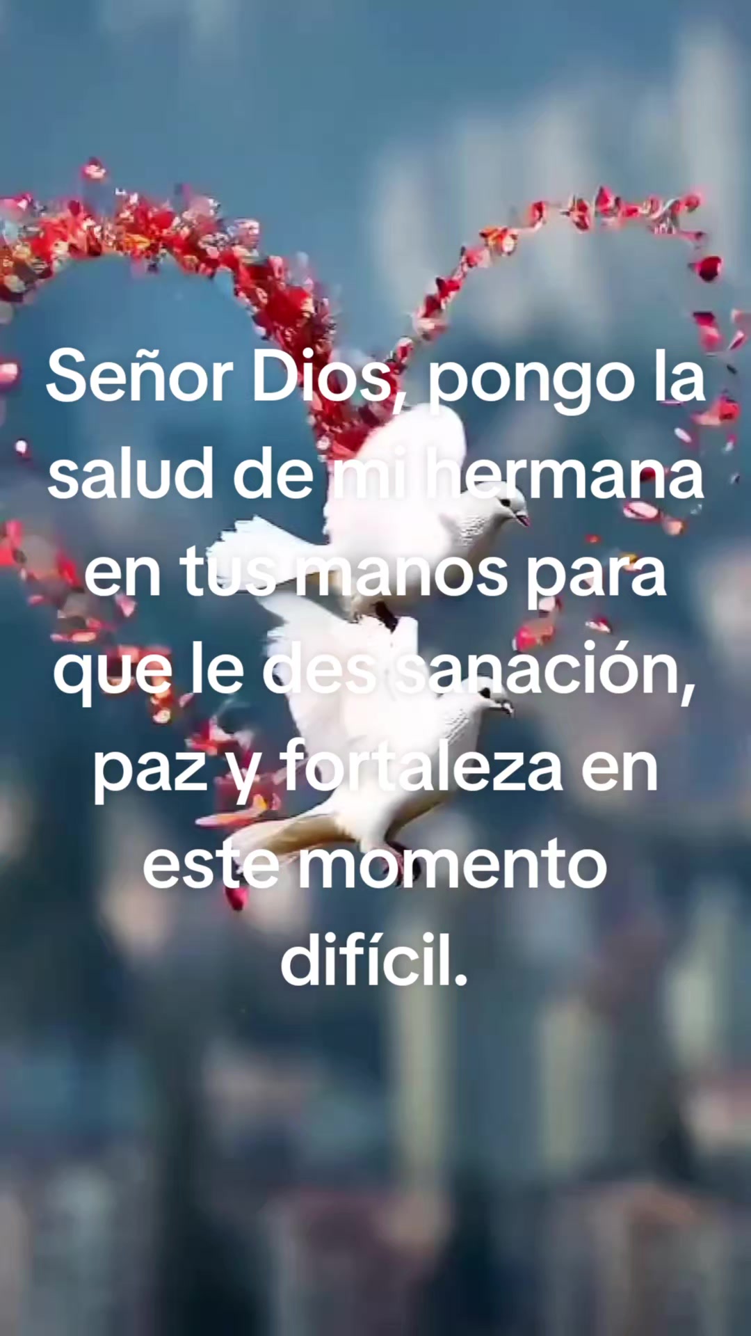 @5 meses y contando!!!