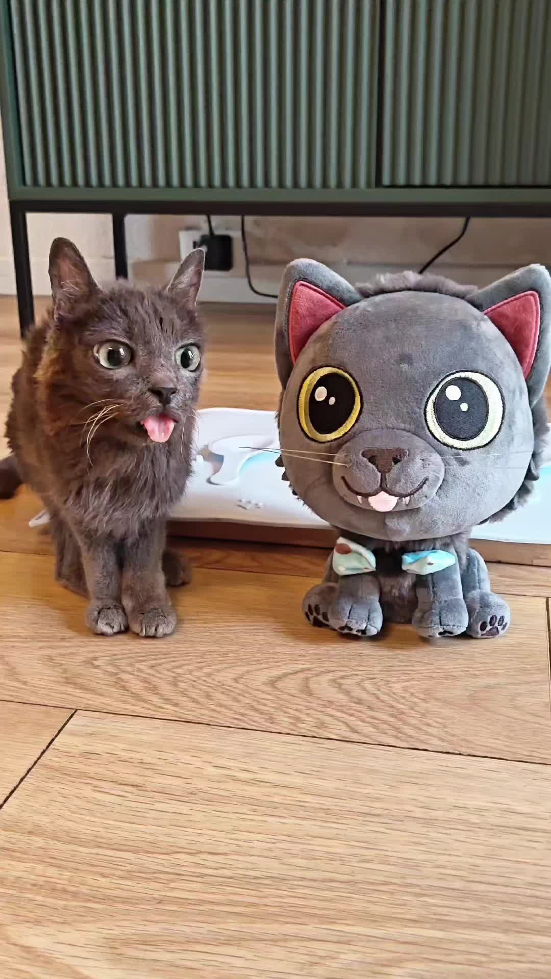 @blu_the_blep