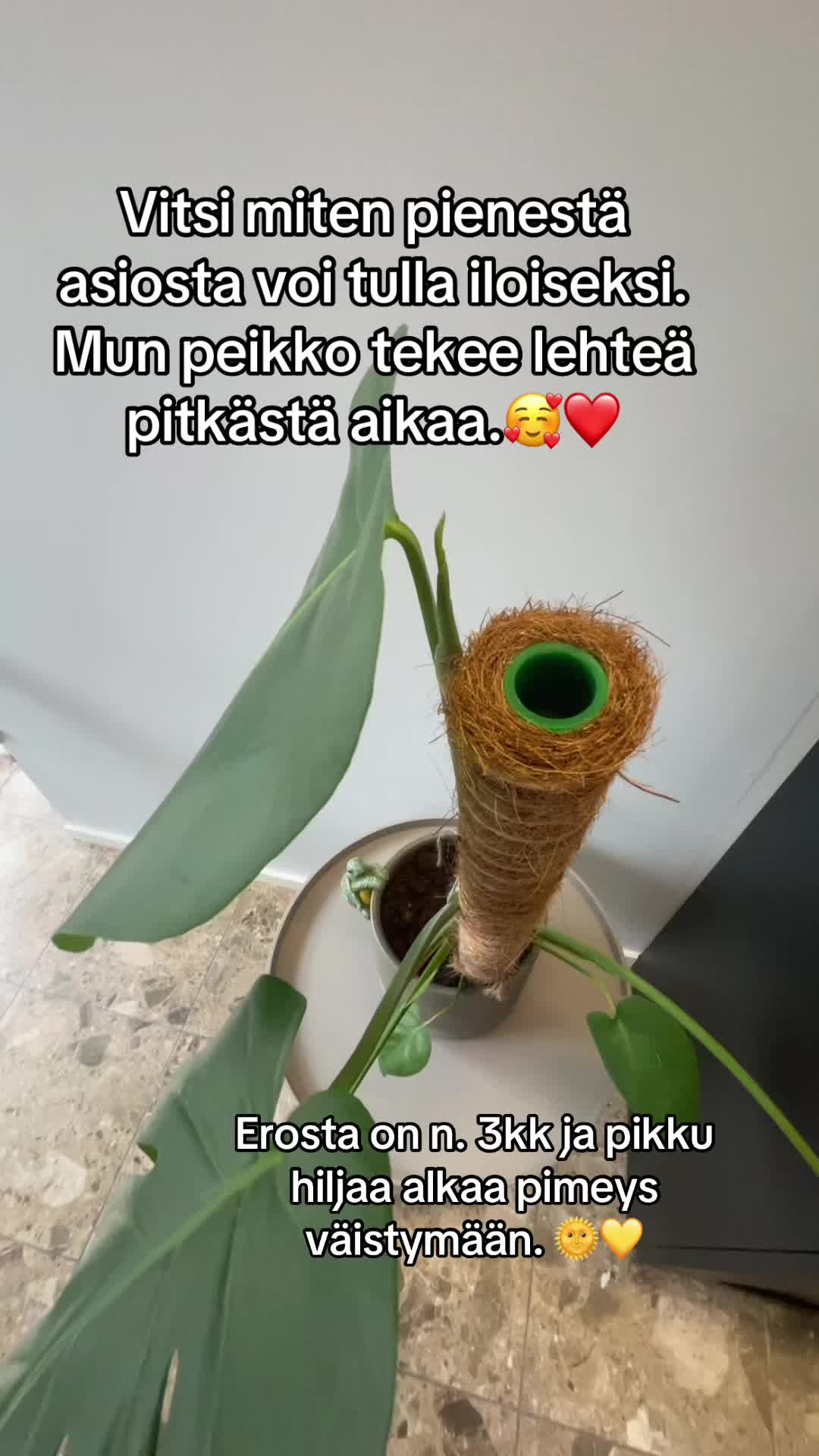 @Mirtsu
