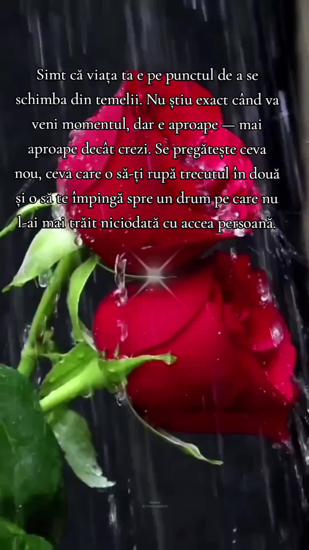 @Anonimcucitate