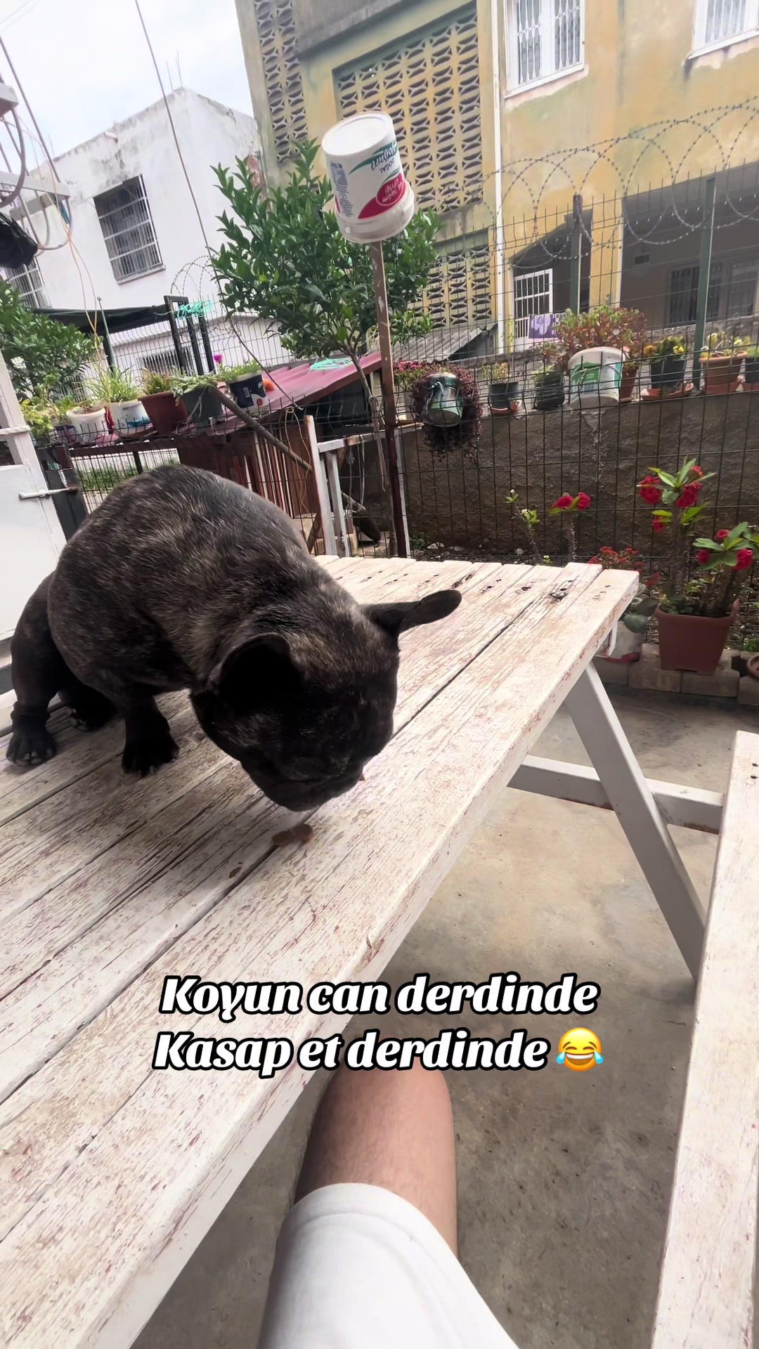 @Ali Can Çalışkan