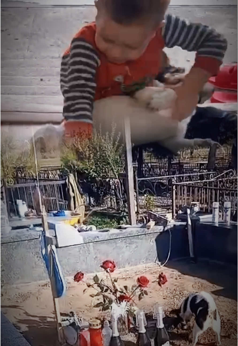 @irina pavlovna