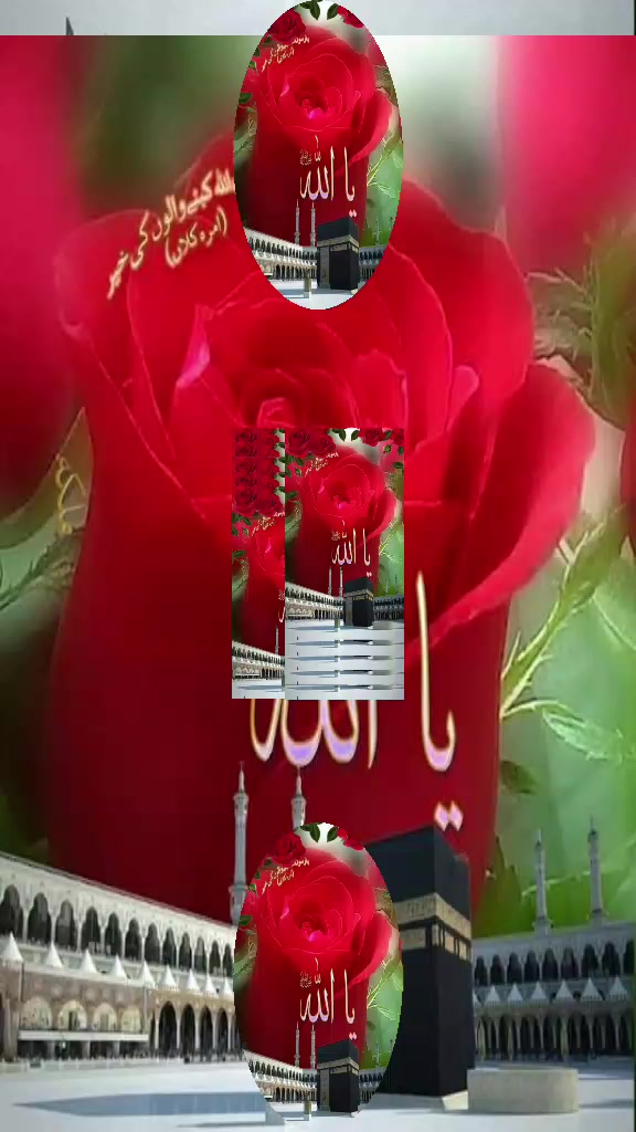 @Hina Malik