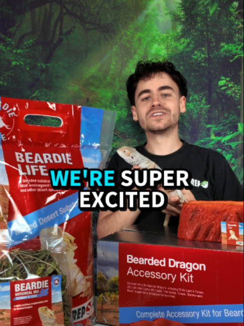 @prorep_reptile
