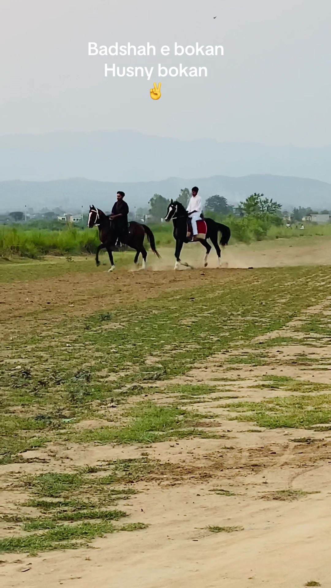 @Ch Hammad bokan ♥️🐎