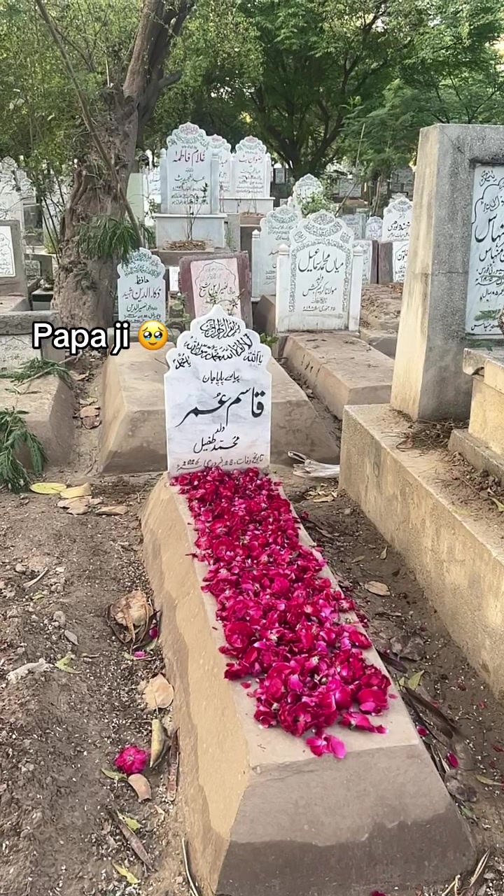 @Iram Alee
