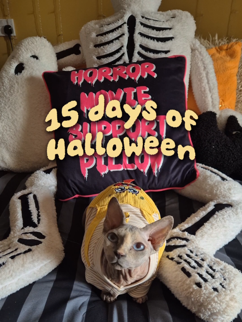 @cloe 🍋🍿🎃