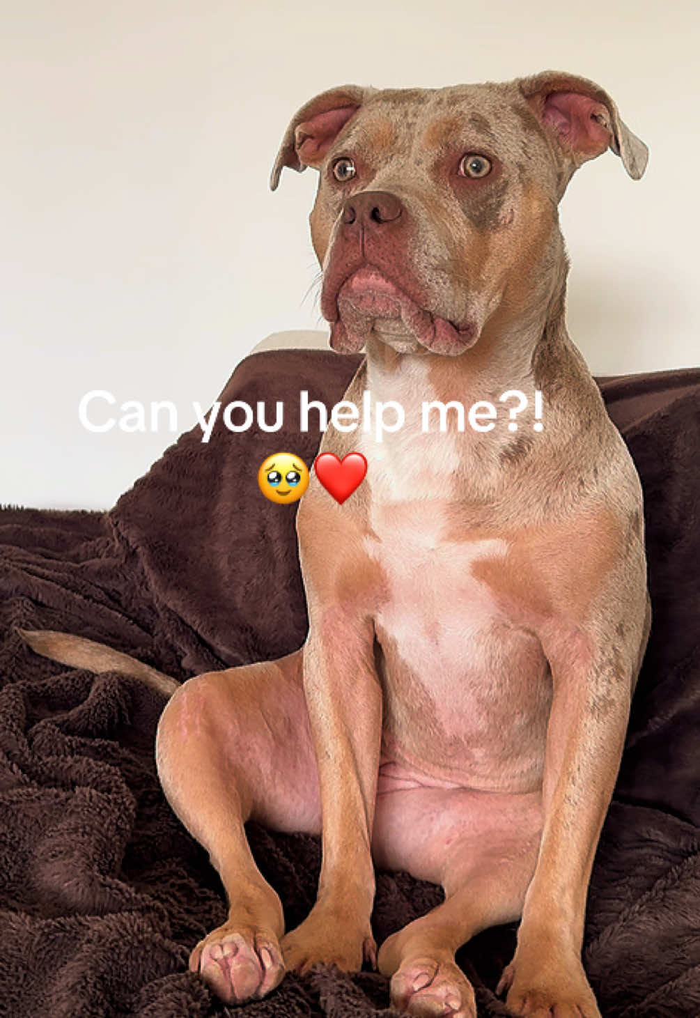 @Rue the Rescue