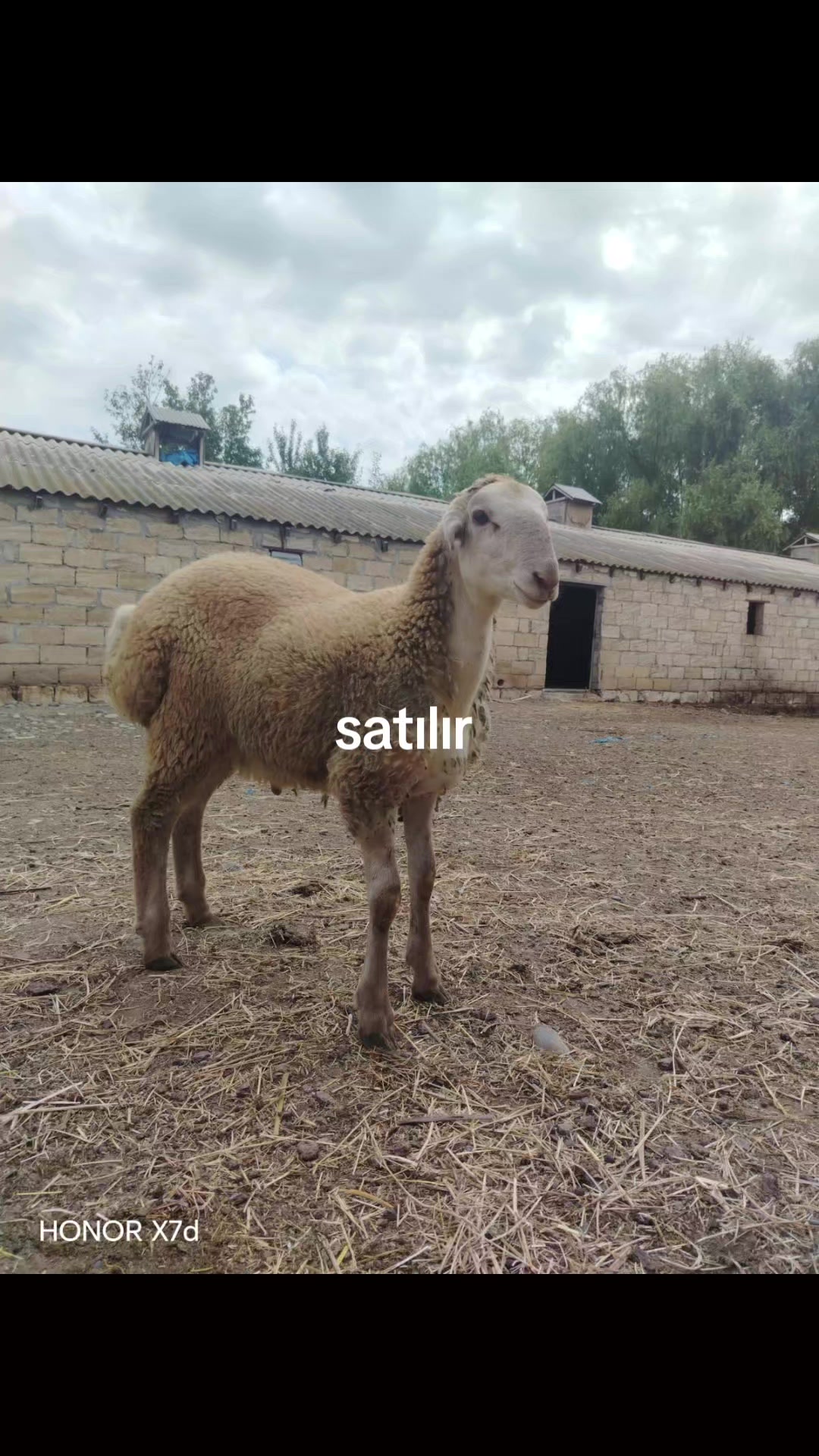 @Elgün02