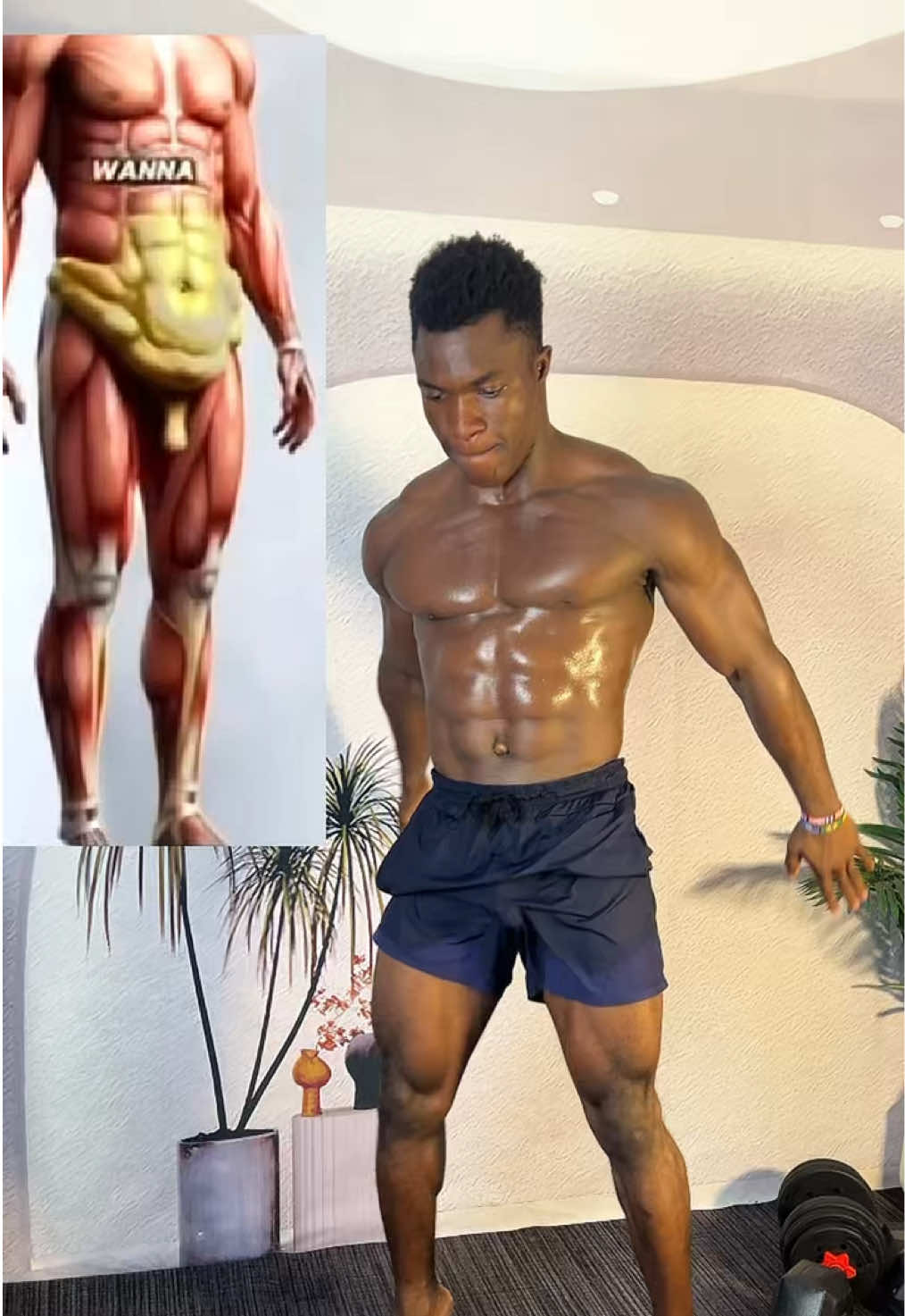 @FITNESS BEASTTRA