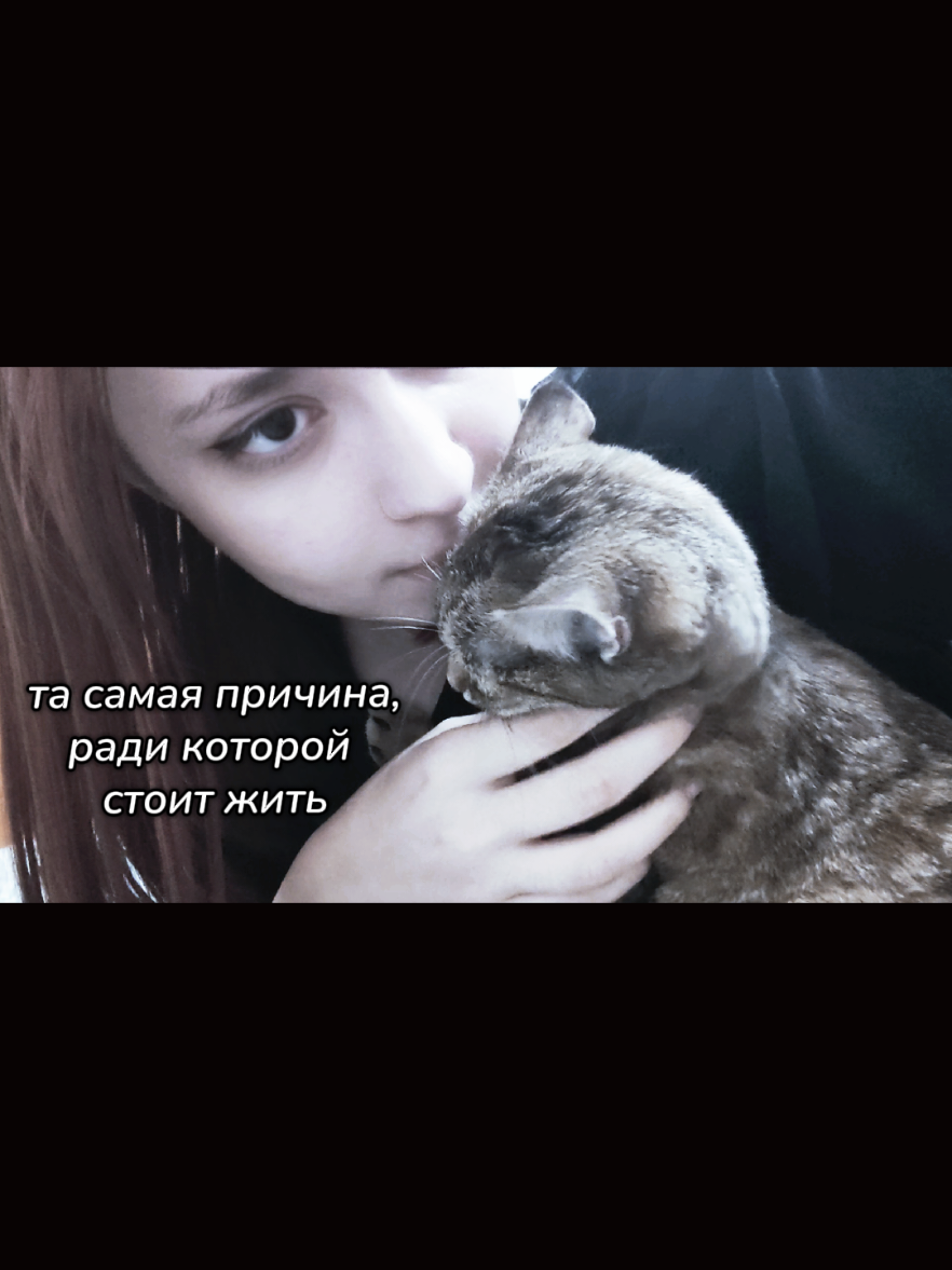 @Мизу