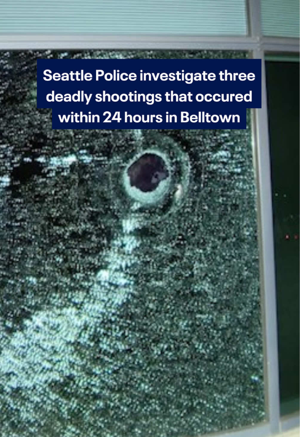 @FOX 13 Seattle